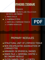 Lymphoid Tissue Power Point