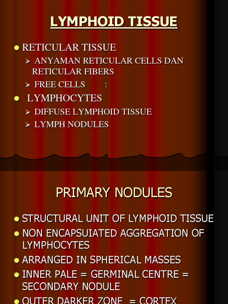Lymphoid Tissue Power Point PDF Lymph Node Lymphatic System