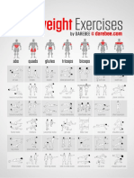 Bodyweight exercises.pdf