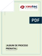 Album de Proceso de Prenatal Desarrollo Psicologico