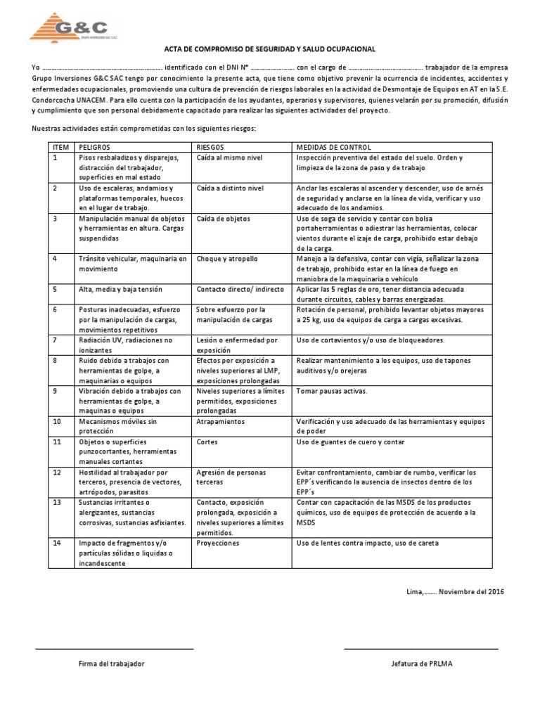 Acta de Compromiso de Seguridad y Salud Ocupacional | PDF | Naturaleza ...