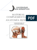 Material Complementario Anatomia Humana DBIO1052