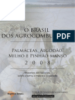 obrasildosagrocombustiveisv2-090528151342-phpapp01.pdf