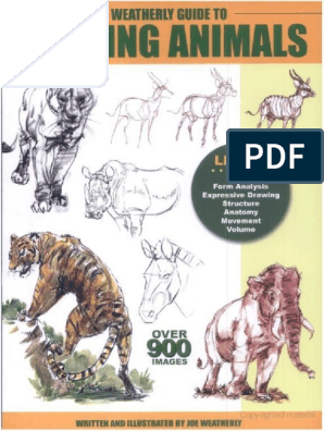 Drawing Animals PDF | PDF