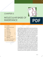 Lebo106 PDF