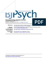Neuropsycology of Bipolar Disorder