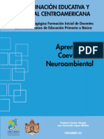 Neuroanatomía y neurofisiología del aprendizaje