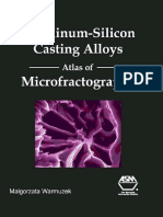 Aluminum Silicon PDF