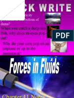 Force Pressure N 3 Principles