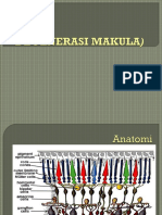 Degenerasi Makula