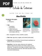 1estudodecincias Luizacollet7ano2013maio2trimestre2013 140203120952 Phpapp02