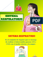 Aparato Respiratorio 