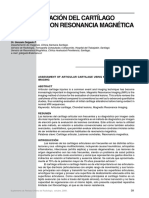 Clasif. Cartilago Art, RM PDF