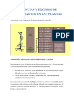 CARENCIAS Y EXCESOS DE FERTILIZANTES EN LAS PLANTAS.pdf