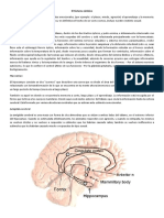 Neurofisiologia de Las Emociones PDF