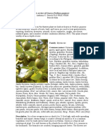 guava guava.pdf