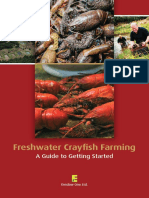 Freshwater Crayfish Farming: A Guide to Getting Started
