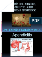 apendicecto