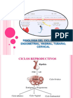 Fisiologia Del Ciclo Sexual