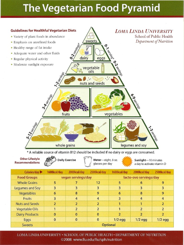 food-pyramid-pdf