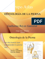 Anatomia Grupo Atlas Clase 4 Region Poplitea y Pierna.