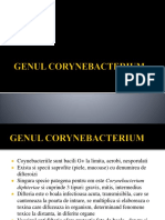 GENUL CORYNEBACTERIUM (1).pptx