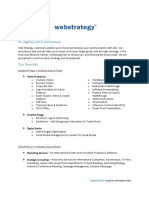 Web Strategy Introduction PDF