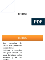 Tejidos PDF