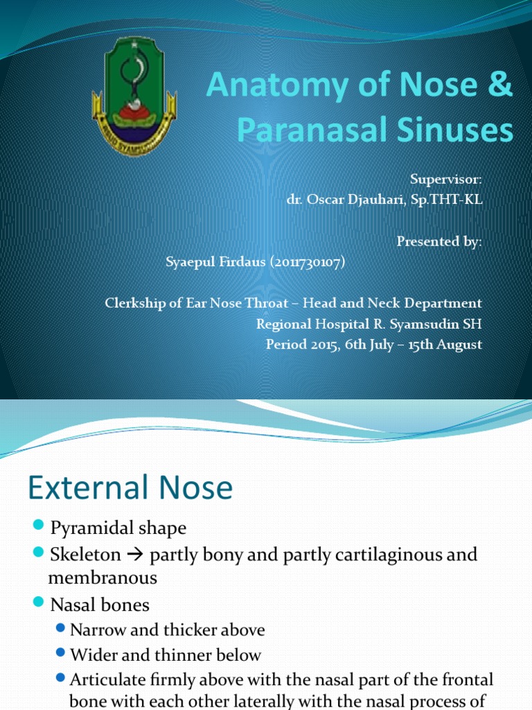 Anatomy of The Nose | PDF | Human Head And Neck | Human Anatomy