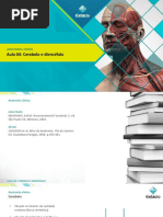 Cerebelo e Diencéfalo