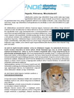 Kolyokneveles PDF