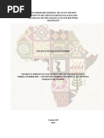 Welington Porfírio Negros e Indígenas Nos Livros Didáticos