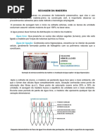 TRABALHO SOBRE MADEIRA - PARTE 2 - THIAGO.docx