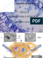 Estructuras Celulares