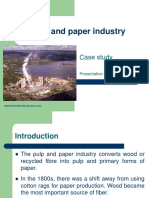 Molo06 Jankunaite Pulp and Paper Industry in Sweden