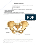 Bazinul_obstetrical.docx