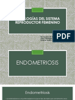 Patologias Del Sistema Reproductor Femenino PDF