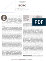 Boro PDF