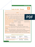 Bio-Chapter2-Study of Cells - Tissues