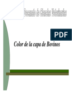 Pelo Color [Modo de Compatibilidad]