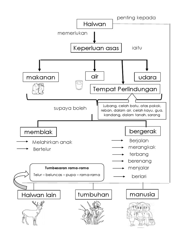 Nota Sains Tahun 2