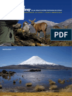 GP2_LIBRO_animales_en_peligro_de_extincion_CONAF.pdf
