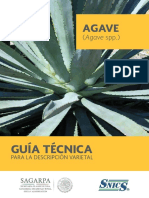 Guia Técnica Del Agave SPP