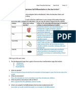 Cell Differentiation in Sea Urchin