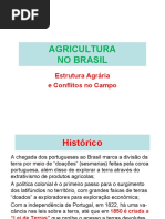 08. Estrutura Agrária No Brasil e Conflitos de Terra.2017