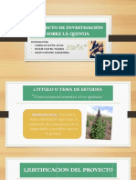 PROYECTO_DE_INVESTIGACION_SOBRE_LA_QUINU.pptx