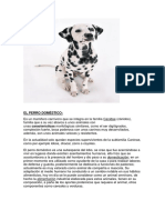 5 ANIMALES DOMESTICOS - Imagen y Descripcion.docx