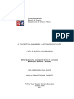 El concepto de amenaza en la acción de protección a la luz de la doctrina y la jurisprudencia chilena