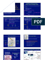 aulas 1-4 1o modulo (1).pdf