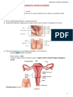 c1 - Aparatul Genital Feminin